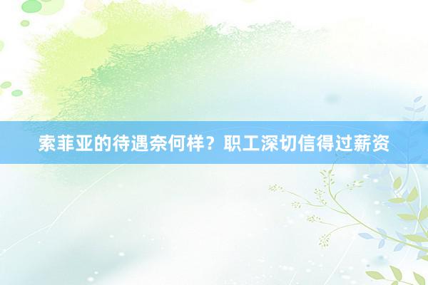 索菲亚的待遇奈何样？职工深切信得过薪资