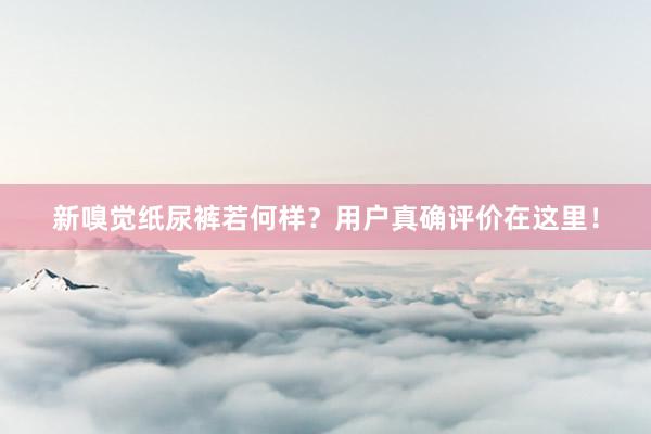 新嗅觉纸尿裤若何样？用户真确评价在这里！